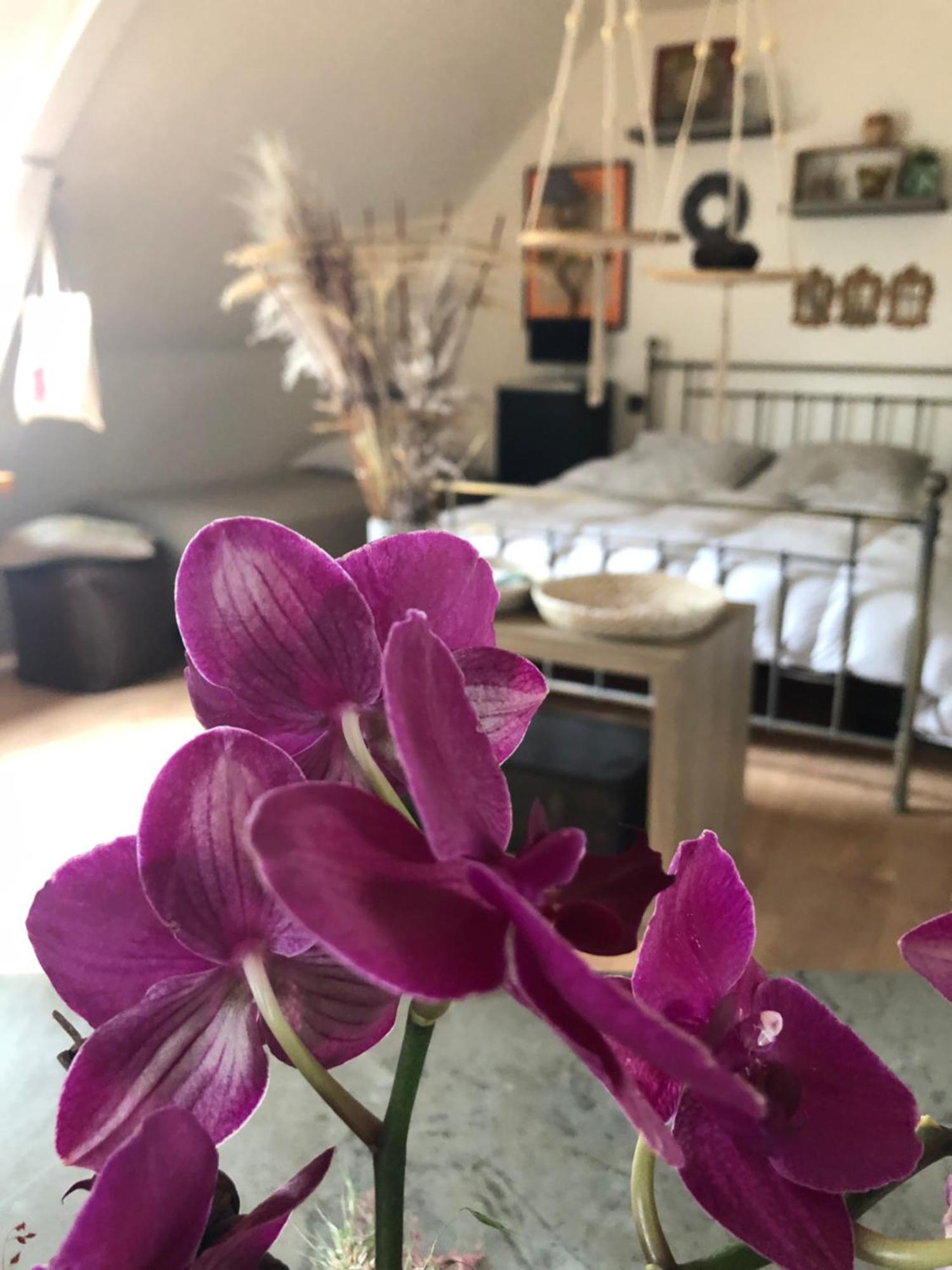 La Thibautiere Bed & Breakfast Blaison Dış mekan fotoğraf