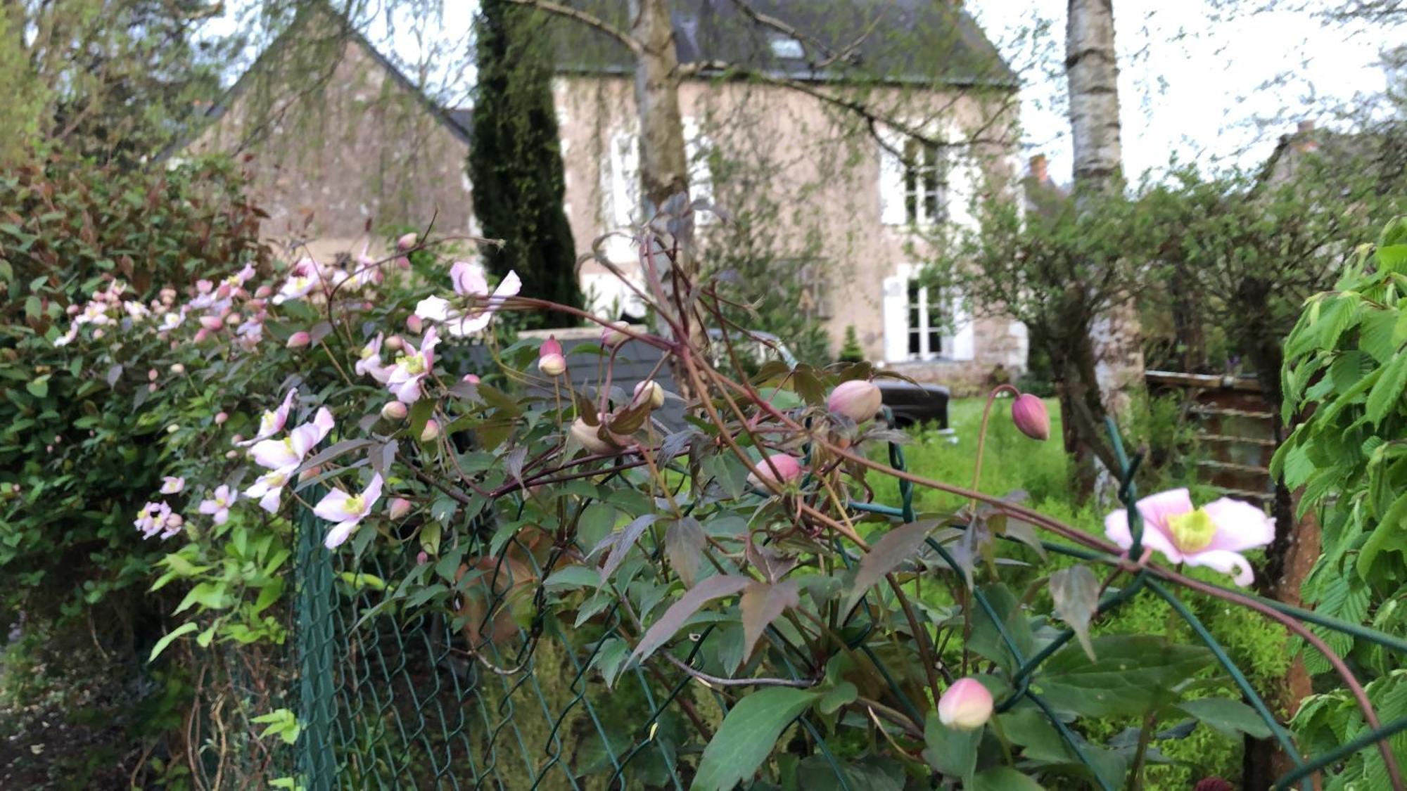La Thibautiere Bed & Breakfast Blaison Dış mekan fotoğraf