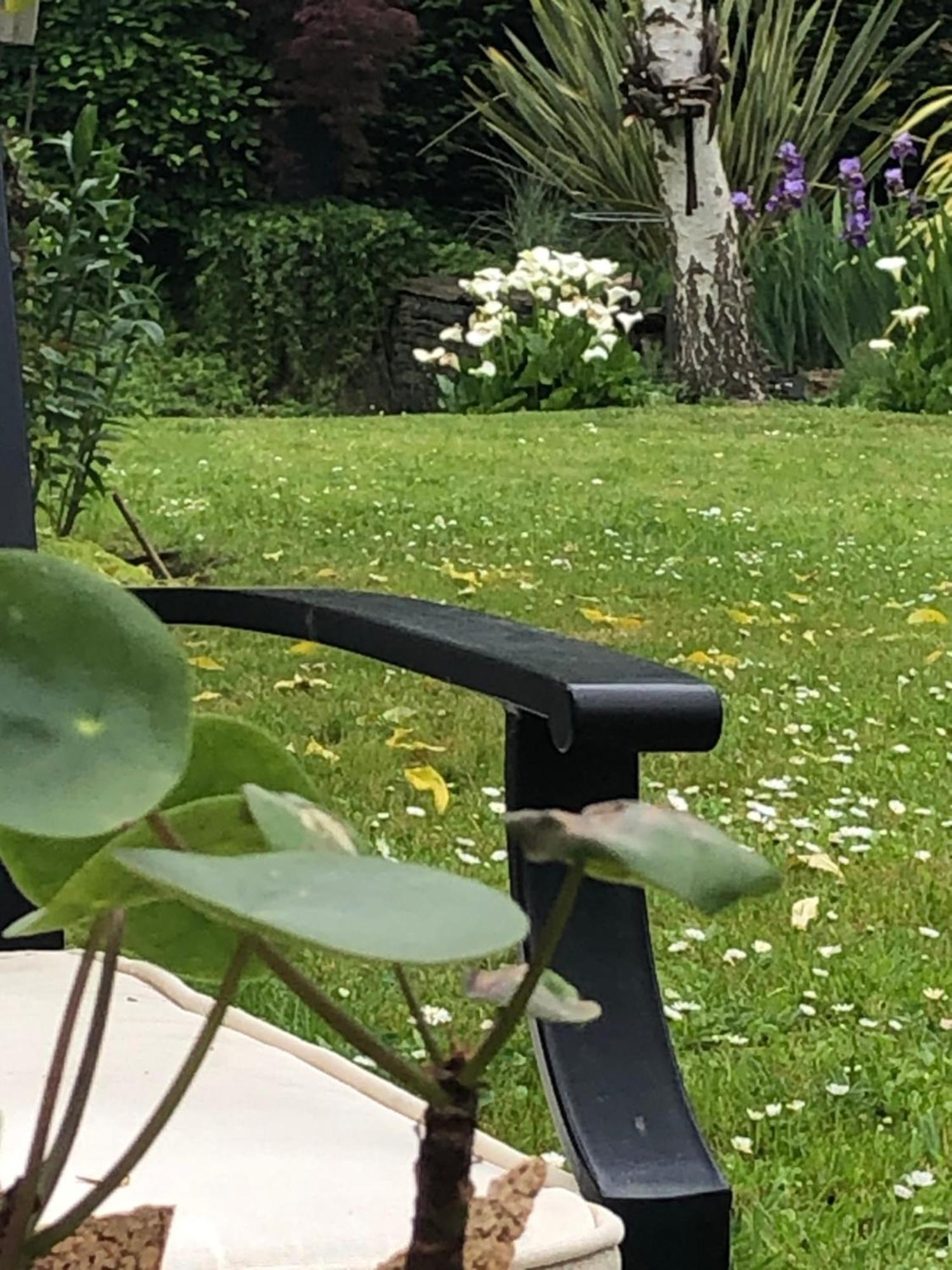 La Thibautiere Bed & Breakfast Blaison Dış mekan fotoğraf