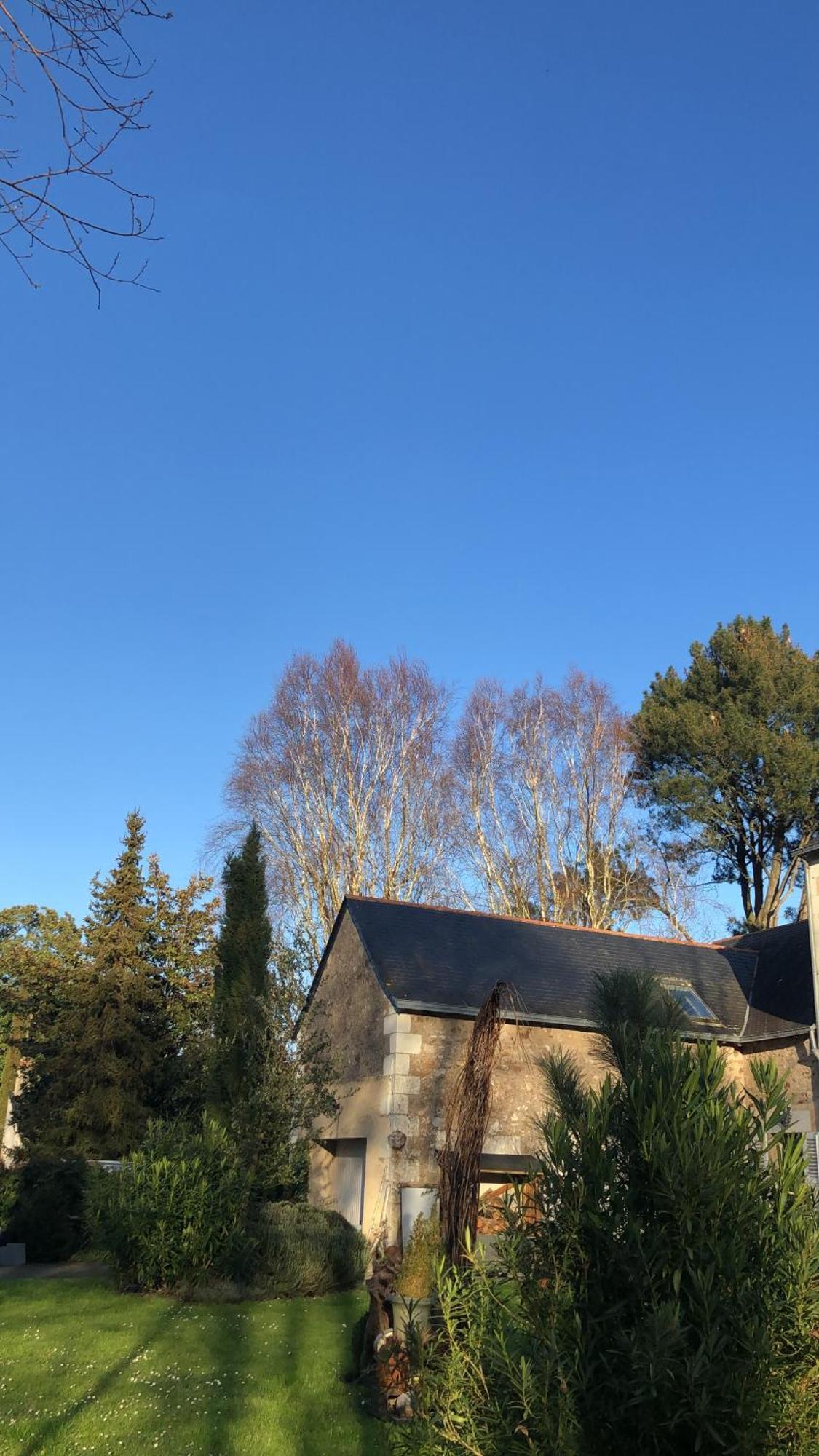 La Thibautiere Bed & Breakfast Blaison Dış mekan fotoğraf